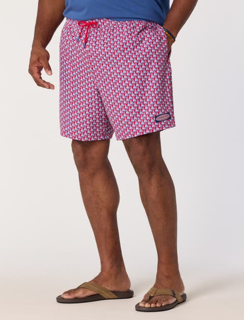 Big & Tall Printed Chappy Swim Trunks V3