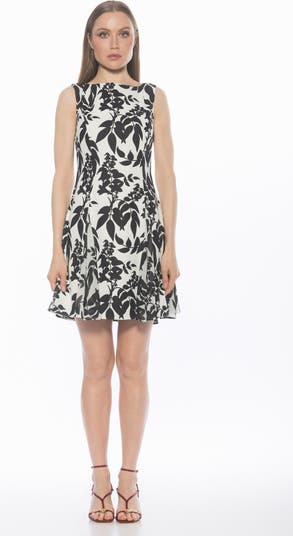 Dianis Fit and Flare Minidress