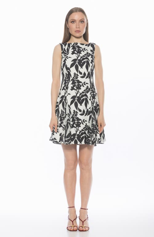Alexia Admor Dianis Fit And Flare Minidress In Black