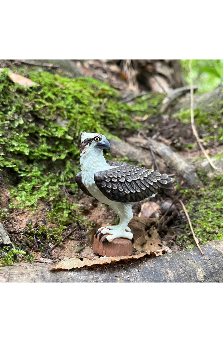 Safari Ltd. Osprey Kids Toy Figure, Alternate, color, NO COLOR