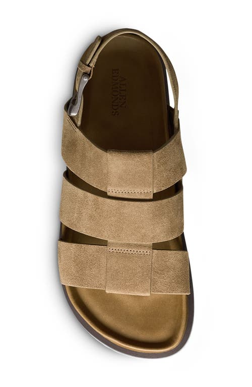 Allen Edmonds Damien Fisherman Sandal In Tobacco