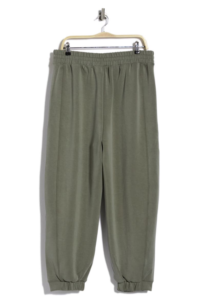 Sandwash Softlite Oversized Jogger Pants, Alternate, color, MULLED BASIL