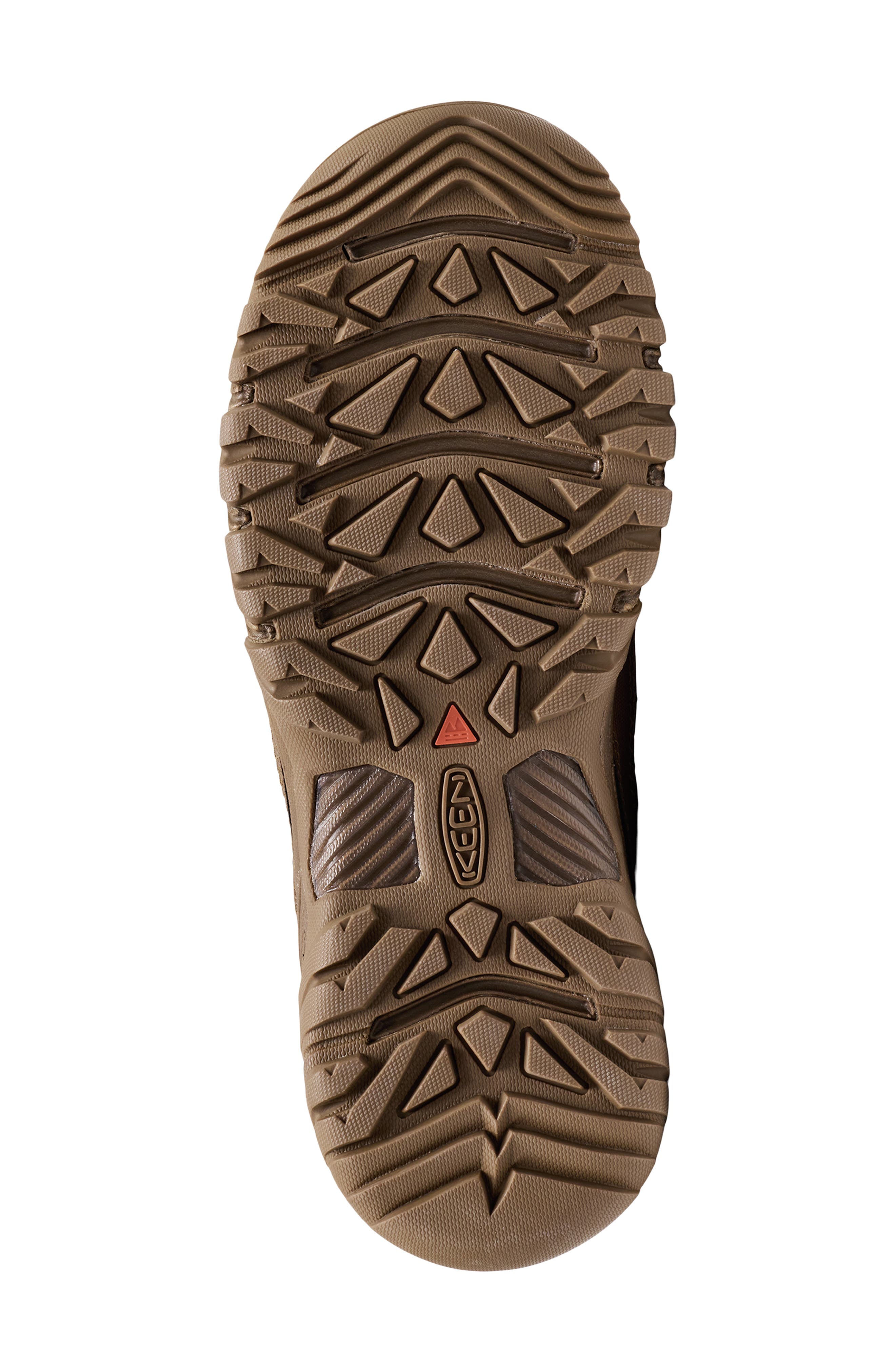 Targhee Exp Waterproof Hiking Shoe, Alternate, color, DARK EARTH
