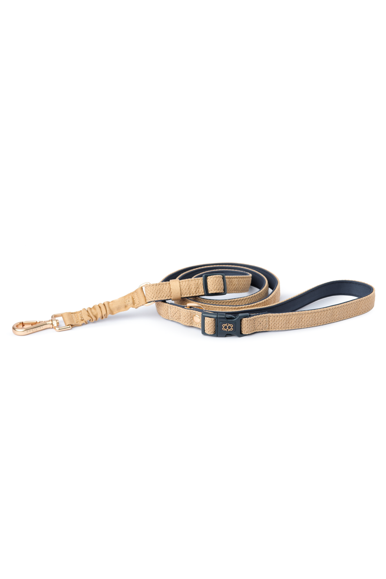 SoHo Dog Walking Set, Alternate, color, Dune