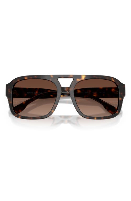 Tory Burch 55mm Polarized Gradient Pilot Sunglasses In Brown