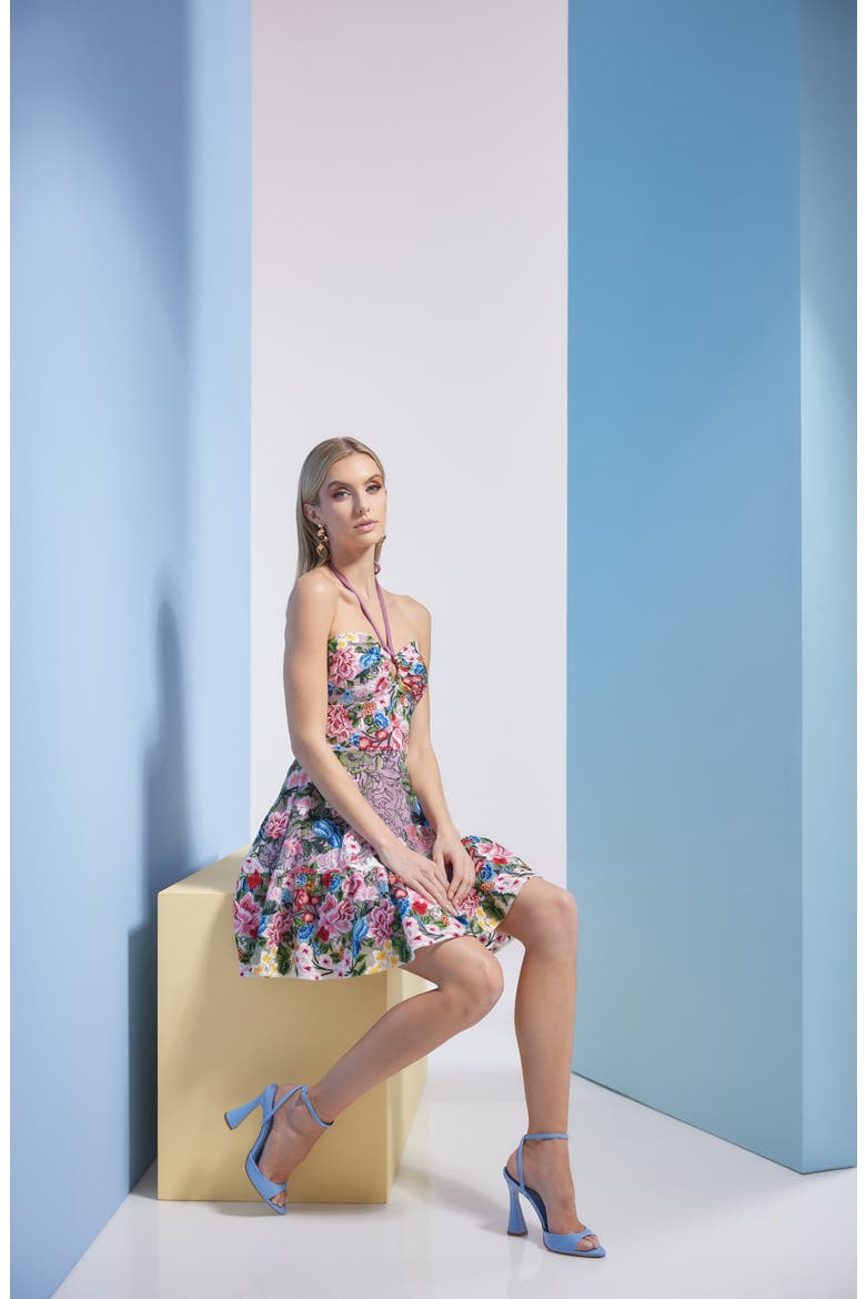 Trixie Floral Embroidered Fit & Flare Minidress, Alternate, color, BLUSH MULTI