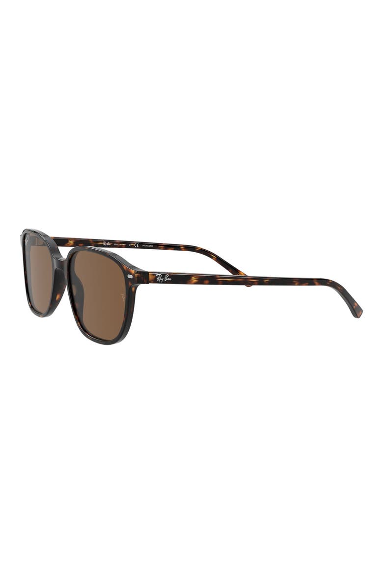 53mm Polarized Square Sunglasses, Alternate, color, HAVANA/ BROWN