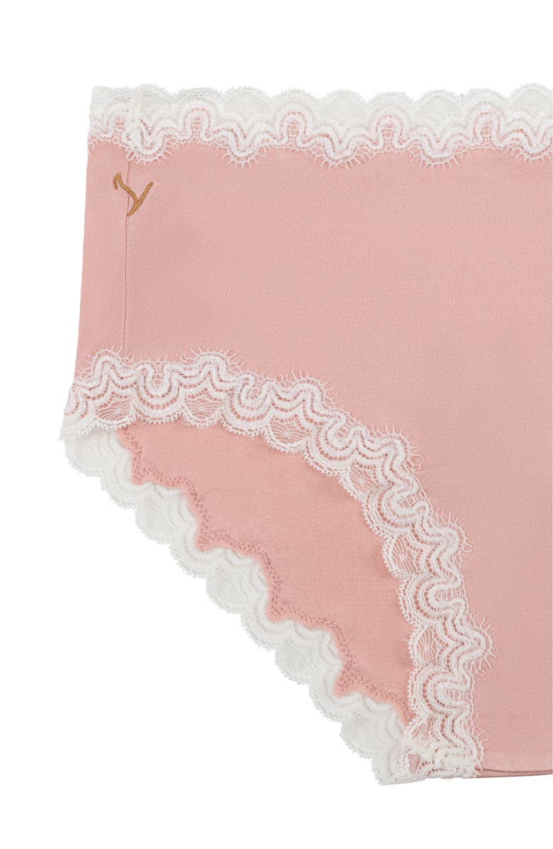 Uwila Warrior Soft Silk Lace Trim Silk Briefs, Alternate, color, 