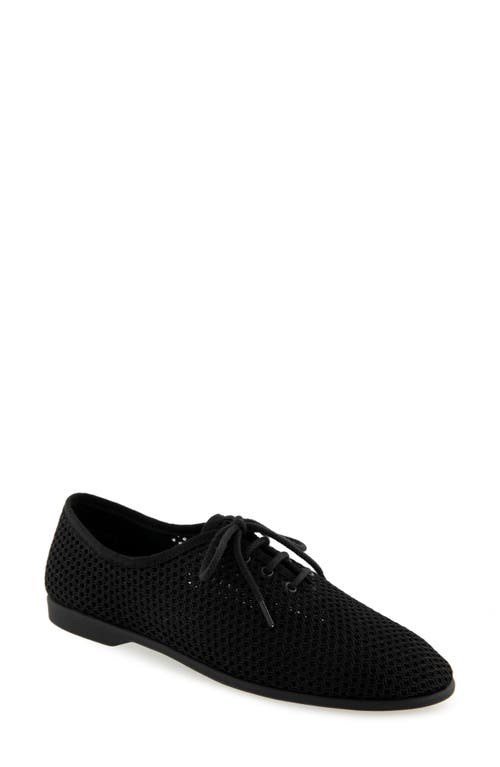 AEROSOLES AEROSOLES BREEZY OXFORD