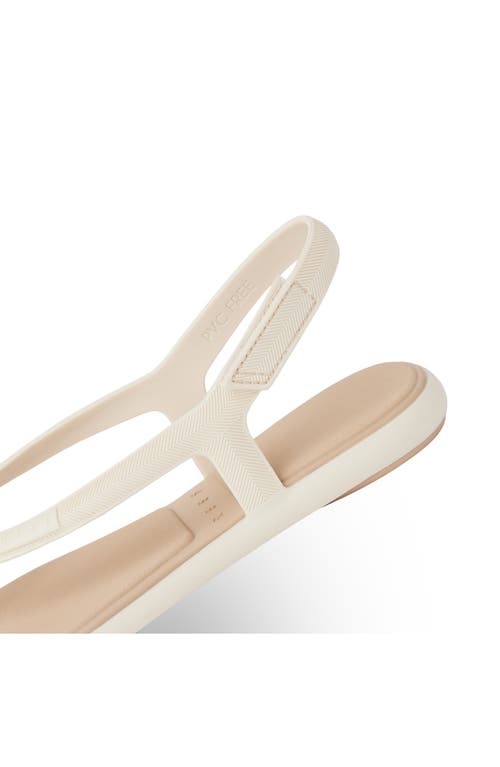 Reef Water Willow Maya Slingback Sandal