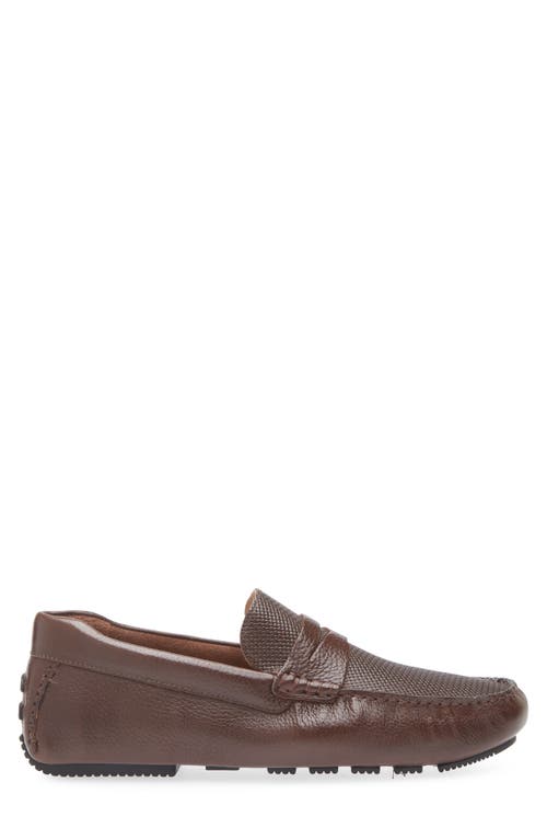 Nordstrom Cody Driving Loafer In Brown