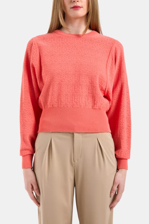Capsule 121 The Triton Sweater In Coral