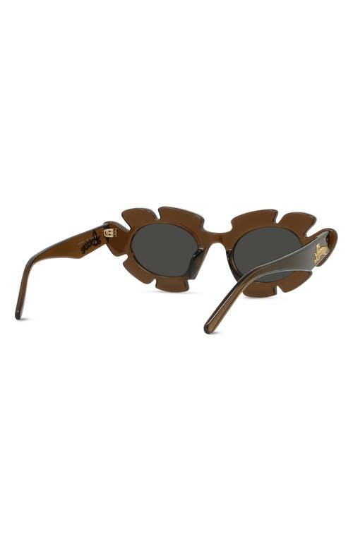 Loewe X Paula's Ibiza 47mm Cat Eye Sunglasses In Multi