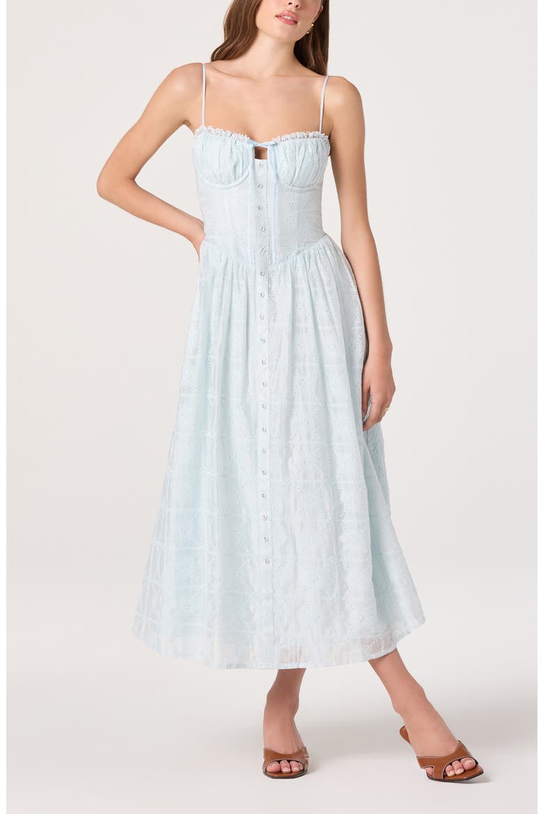 Aubrey Embroidered Sleeveless Maxi Dress, Alternate, color, POWDER BLUE