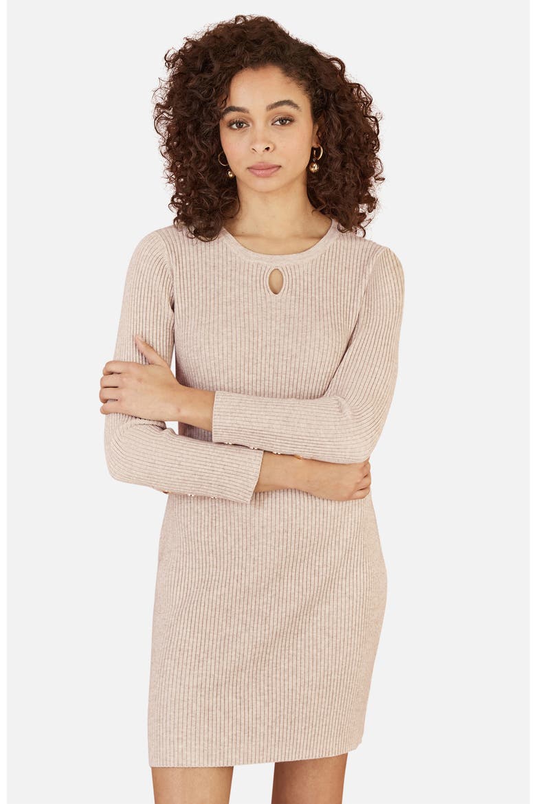 Rib Knit Tunic Dress, Alternate, color, Oatmeal