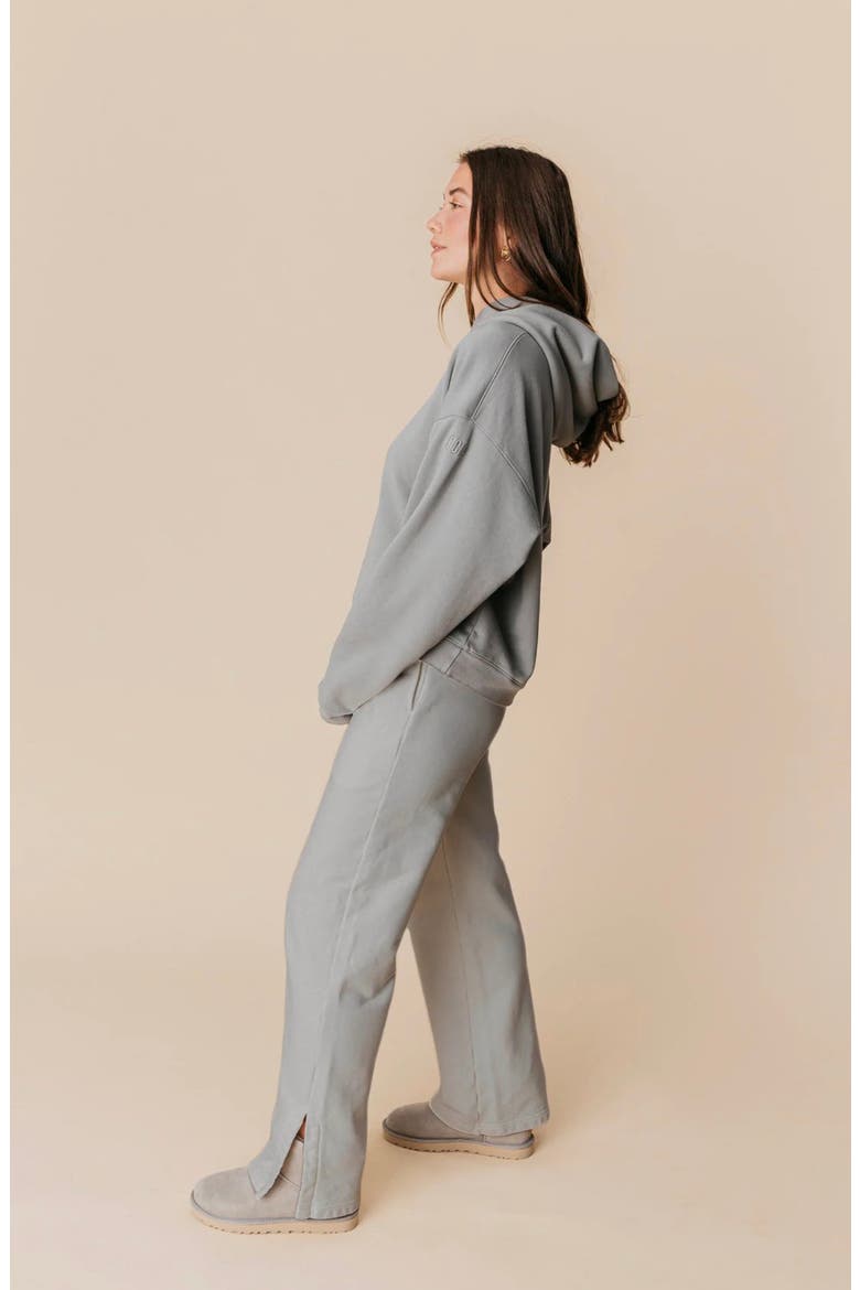 Women's Organic Cotton Teddy Oversized Hoodie, Alternate, color, Ash