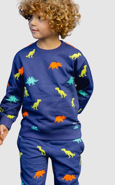 Dinosaur Cotton Crew Neck Sweatshirt (Toddler, Little Kid, Big Kid)