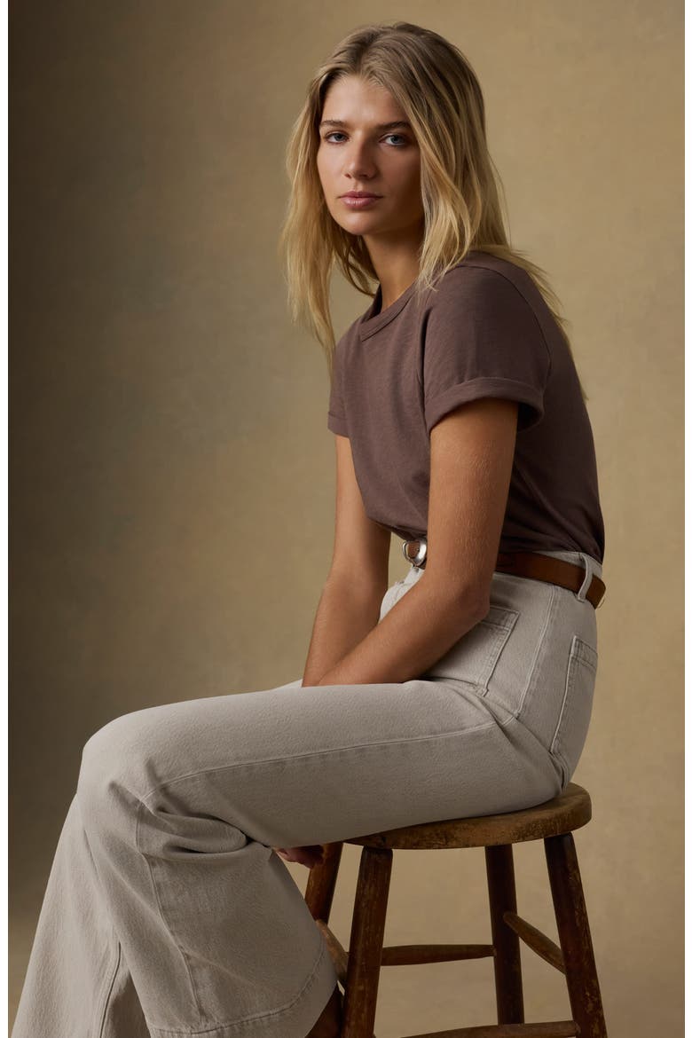 Sunwashed Essential Cotton T-Shirt, Alternate, color, ALPINE BROWN