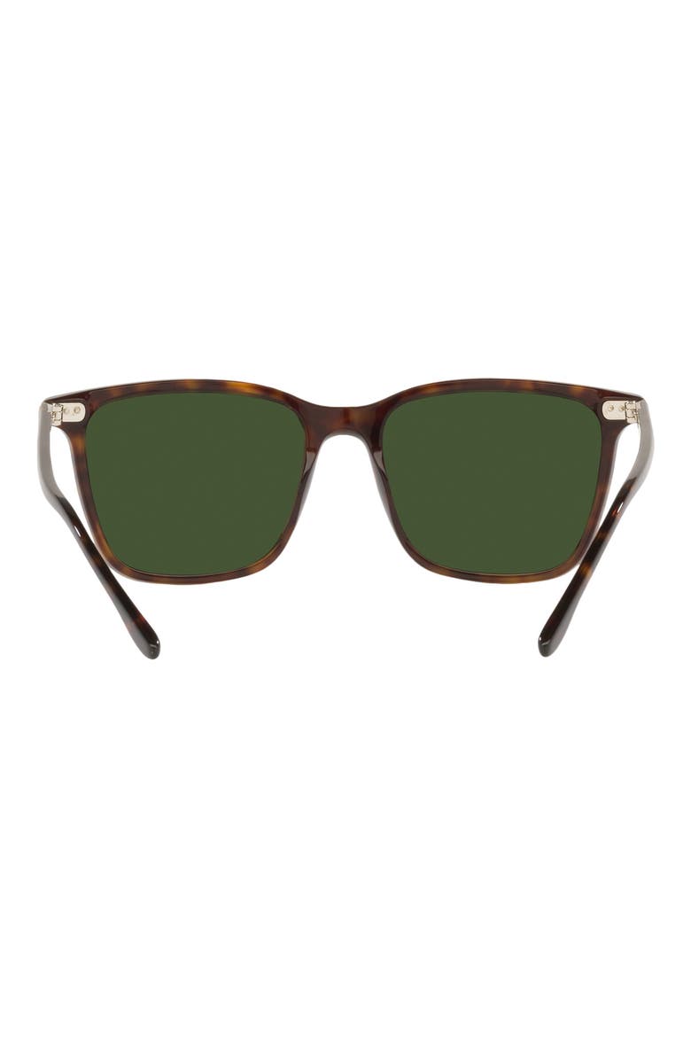 53mm Pillow Sunglasses, Alternate, color, SHINY DARK HAVANA / GREEN