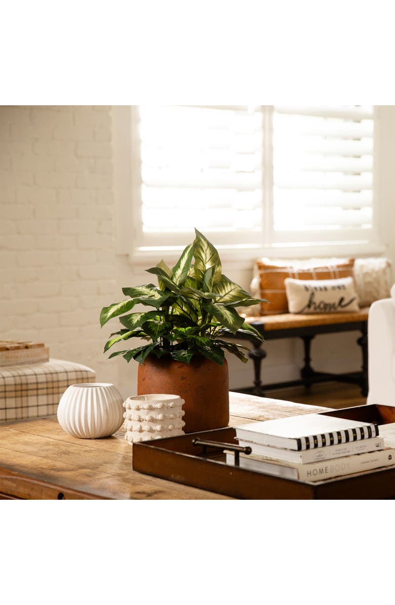 NEARLY NATURAL 20-in Artificial Golden Dieffenbachia Plant - Set of 6, Alternate, color, Green