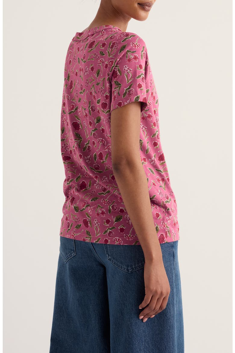 Barnoon Top, Alternate, color, PLANT CUTTINGS ROSA