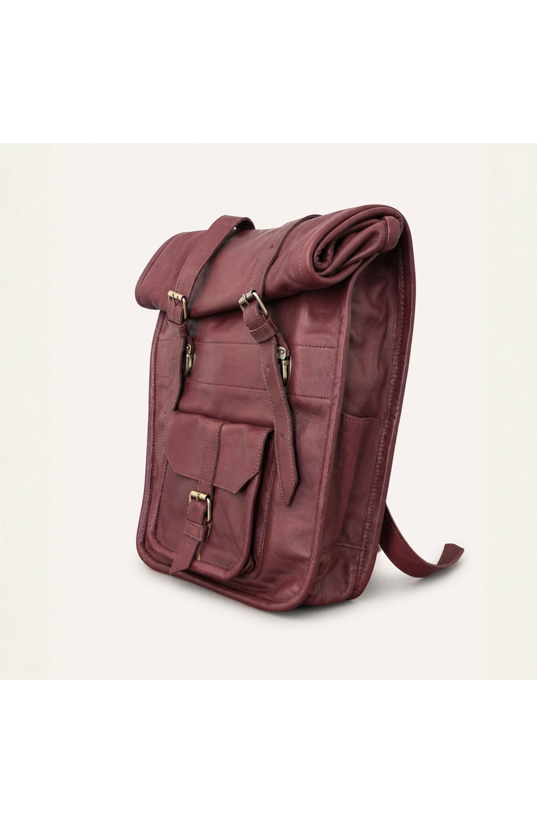 Amasouk Adventurer Leather Rolltop Backpack, Alternate, color, Chestnut