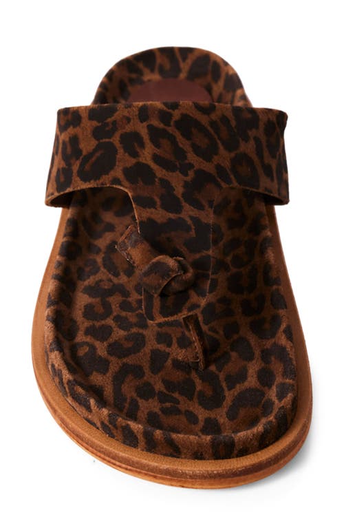 Free People Mika Flip Flop In Chestnut Leopard Suede