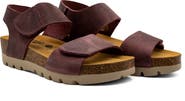 Plakton Compi Sandal