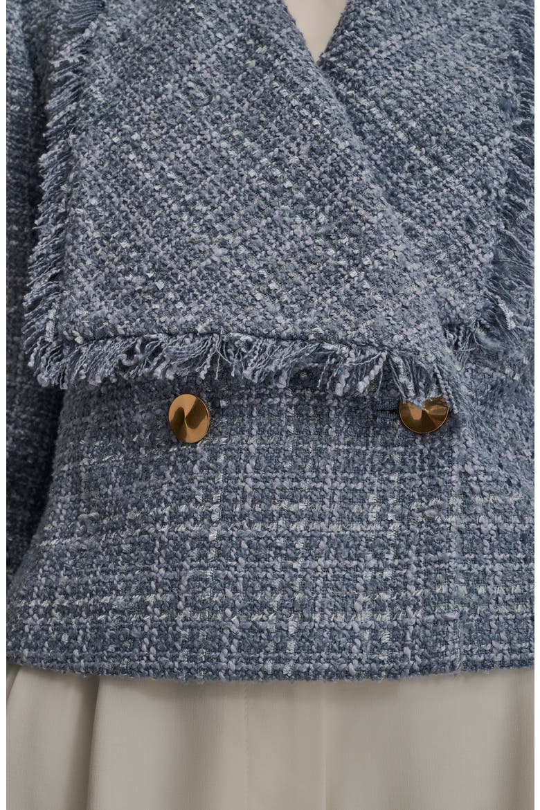 Fringed Double Breasted Crop Bouclé Jacket, Alternate, color, TEMPEST
