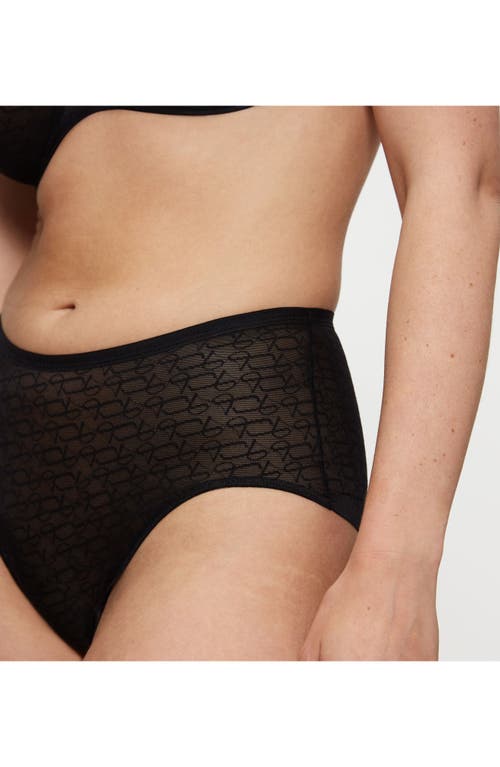 Triumph Signature Sheer Brief Panties In Gray