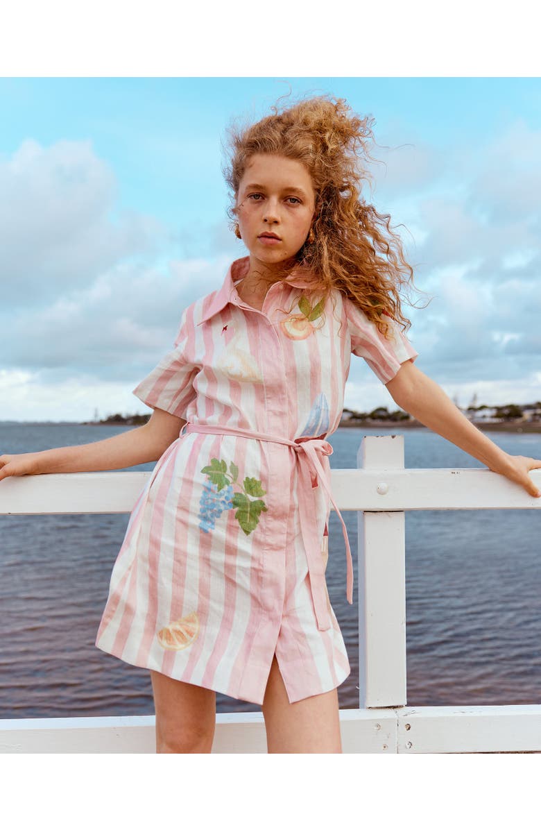 SMWR. By The Somewhere Co Boat Days Mini Shirt Dress, Alternate, color, Light Pink