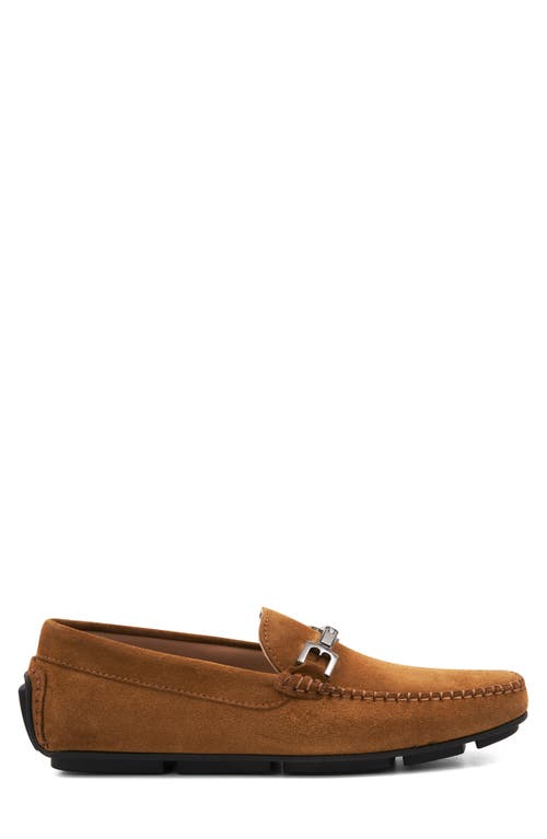Bruno Magli Taso Bit Driving Loafer In Cognac Suede