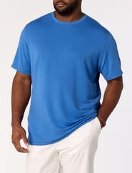 Oak Hill by DXL Big & Tall Luxury T-Shirt