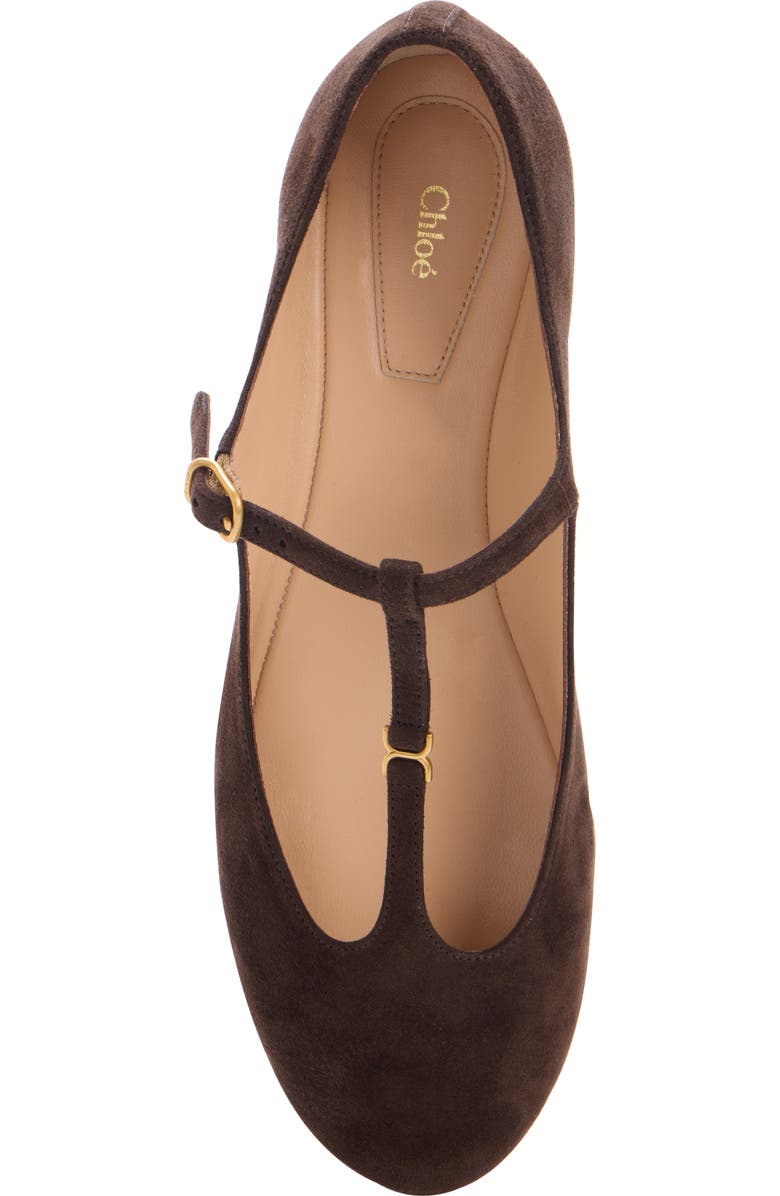 Chloé Marcie Mary Jane Flat, Alternate, color, Burnt Brown