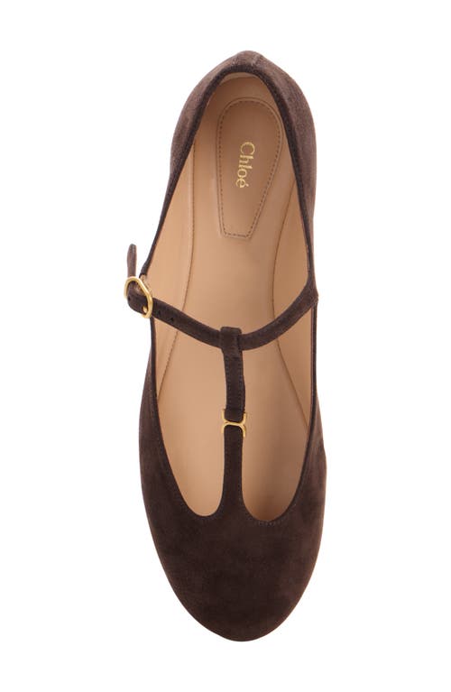 Chloé Marcie Embellished Suede Ballet Flats In Animal Print