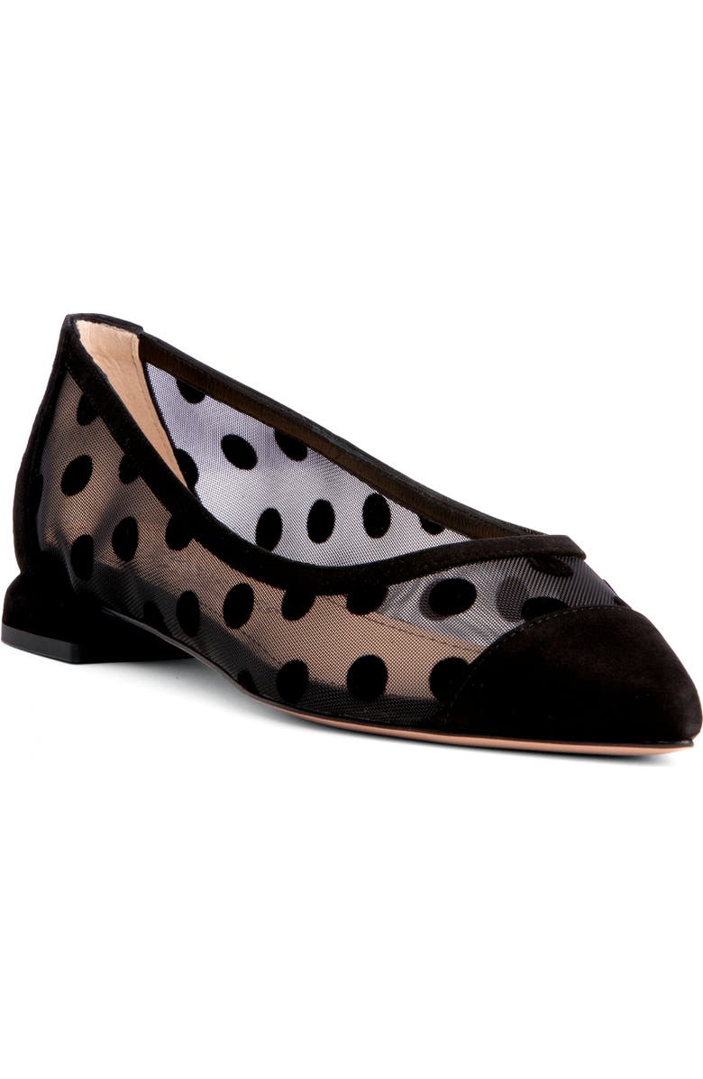 BEAUTIISOLES Blake Ballerina, Main, color, Black