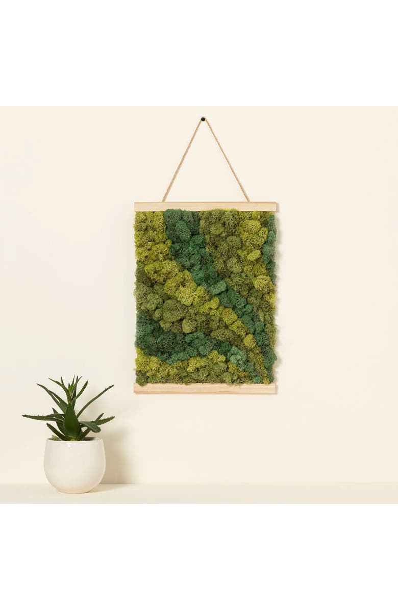 Uncommon Goods Moss Art by Numbers by Moss Art by Numbers, Main, color, Olive Green