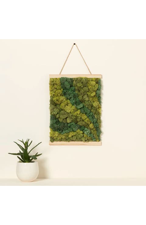 Moss Art by Numbers by Moss Art by Numbers