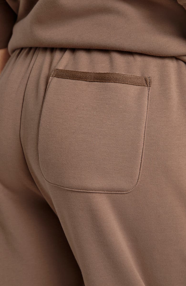 Splendid Goldie Drawstring Joggers, Alternate, color, Toffee