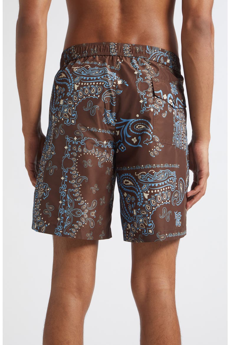 Paisley Print Swim Trunks, Alternate, color, PARSLEY BROWN/ BLUE
