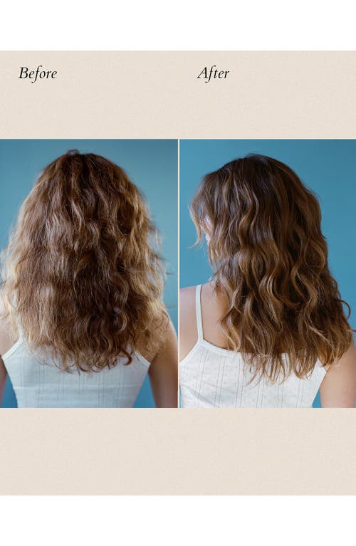 Roz Foundation Shampoo In Refill