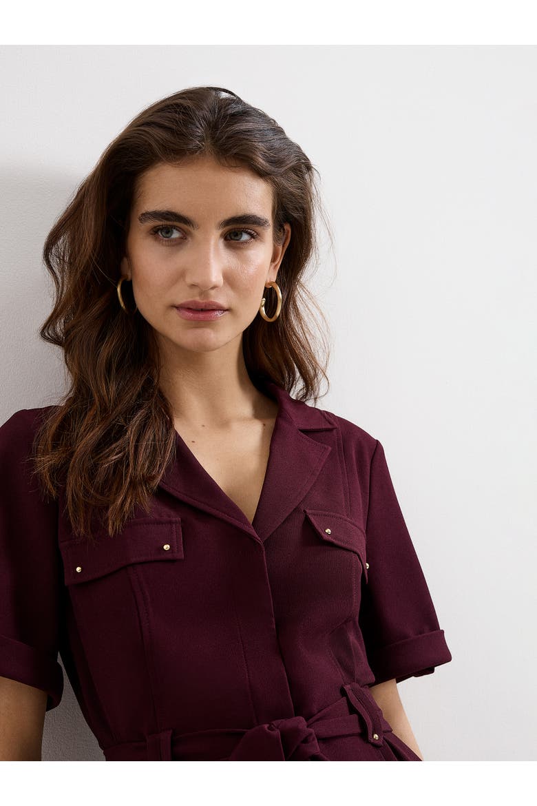 Marlina Belted Mini Shirt Dress, Alternate, color, Burgundy