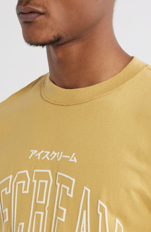 Icecream Gallop Cotton Graphic T-shirt In Antelope