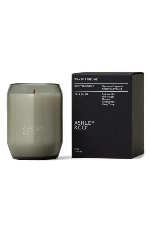 Ashley & Co Waxed Perfume Scented Candle In Green