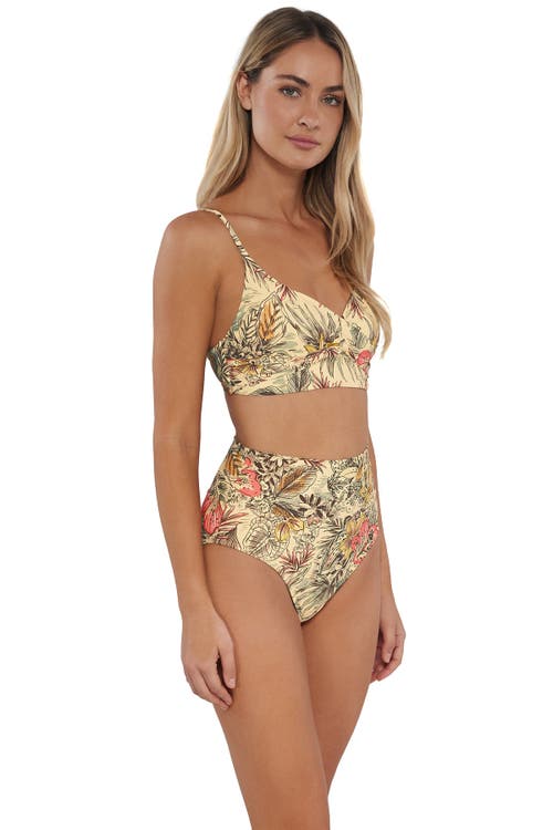 Sunsets Hannah High Waist Bikini Swim Bottoms In Island Spice