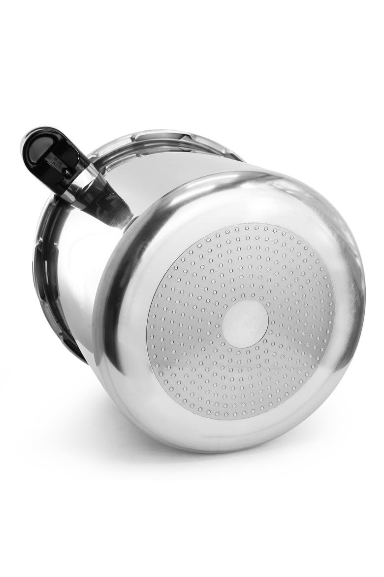 9.5 Quart Induction and Stovetop Pressure Cooker with Steamer, Alternate, color, Silver