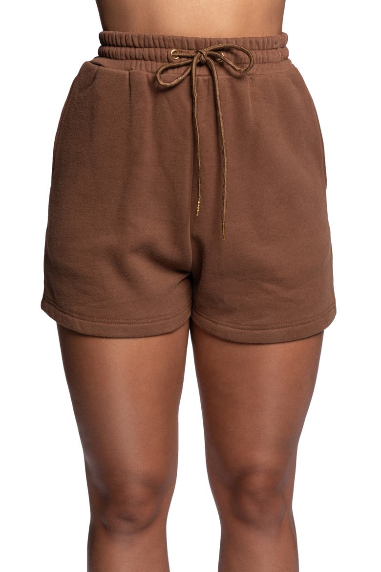 Drew Fleece Shorts, Alternate, color, PECAN