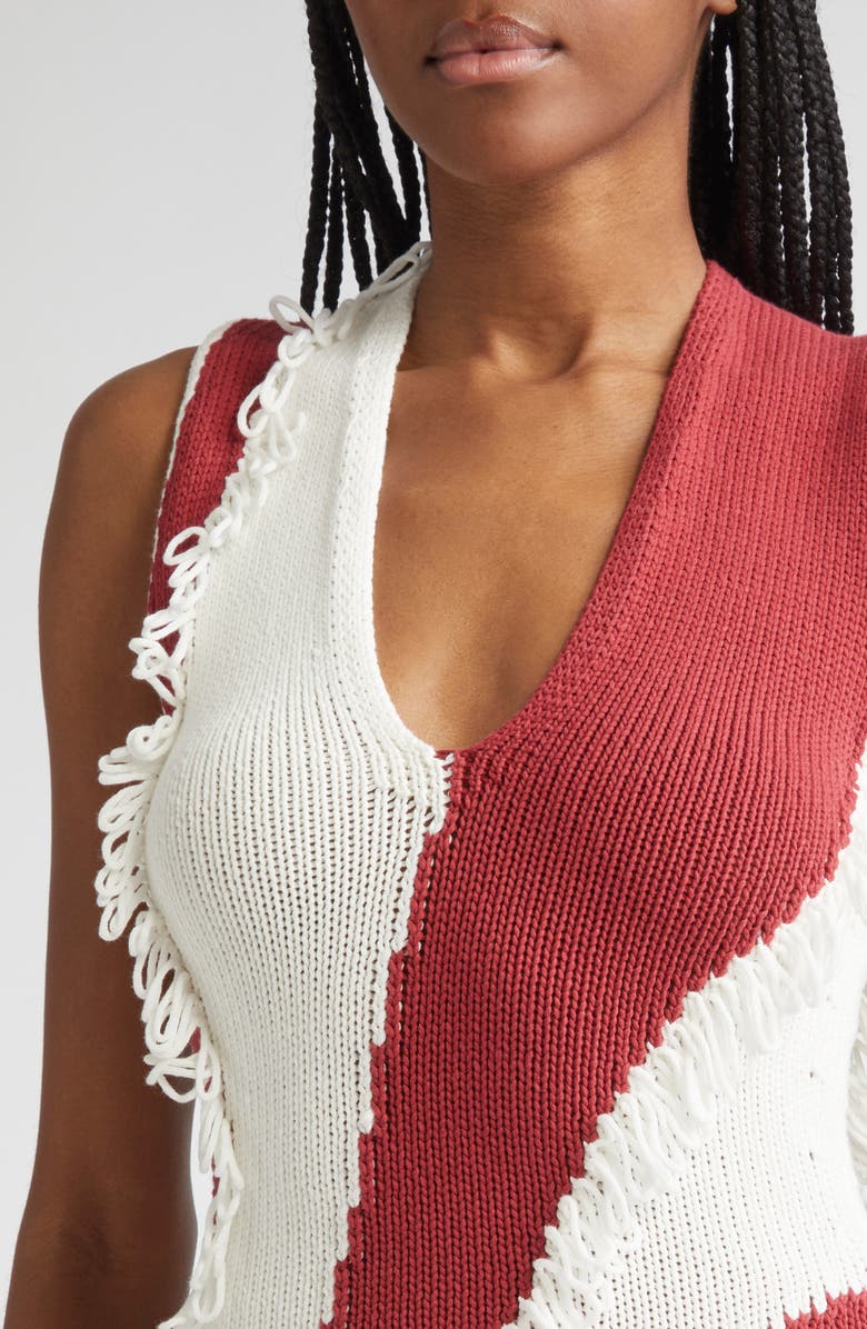 Diotima Roaring Knit Top, Alternate, color, Paprika-White