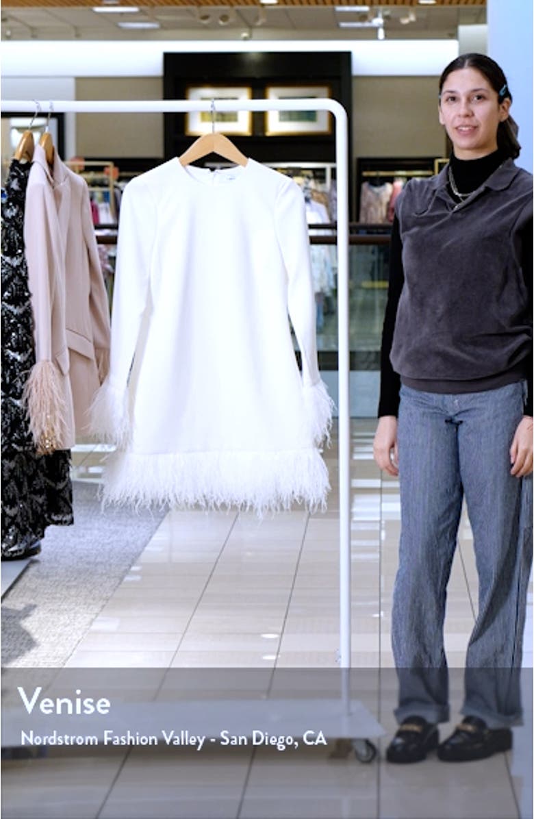 Marullo Feather Trim Long Sleeve Dress, sales video thumbnail