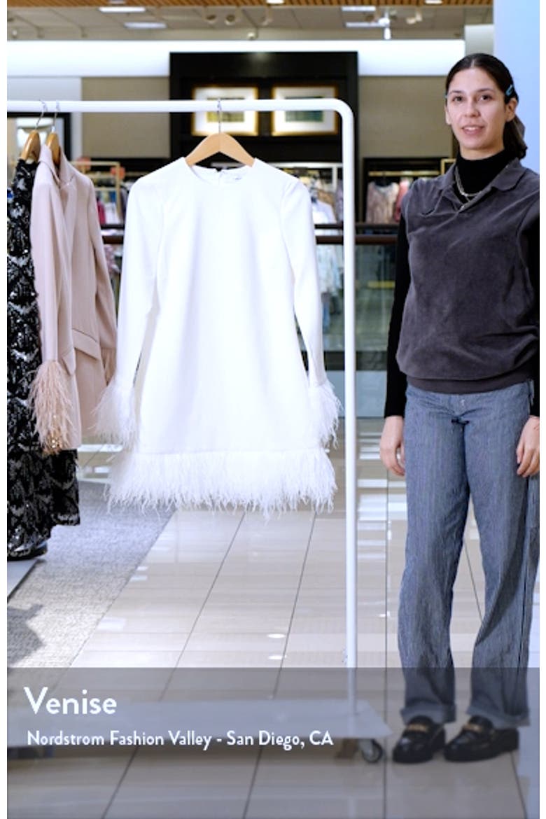 Marullo Feather Trim Long Sleeve Dress video